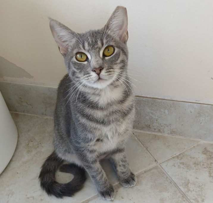 Photo of Princesa
