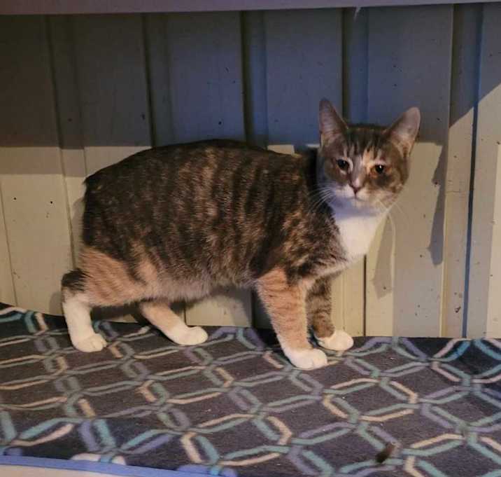 Photo of Ember