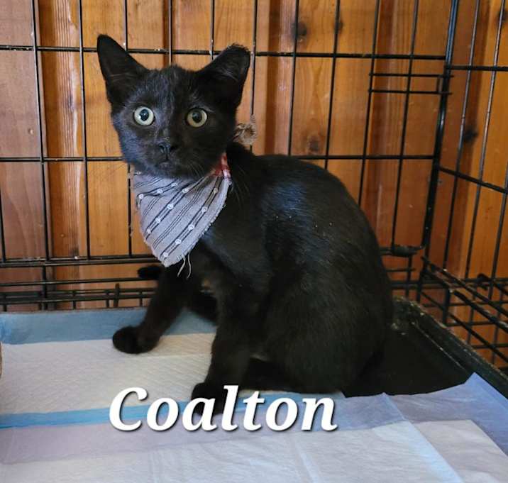 Photo of Coalton