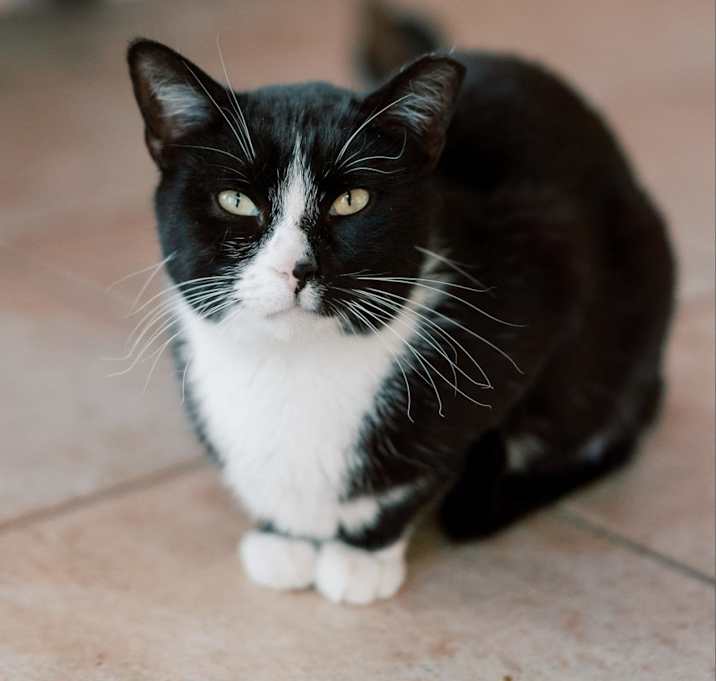 Photo of Salsa