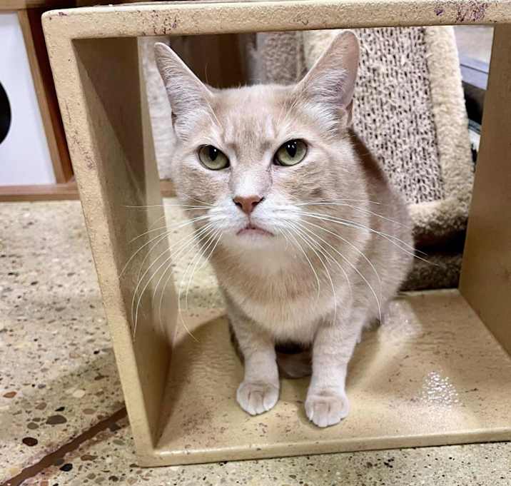 Photo of Arya