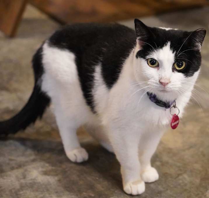 Photo of Poptart