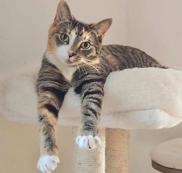 Photo of Betsy