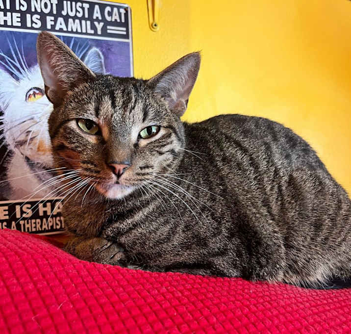 Photo of Morgan