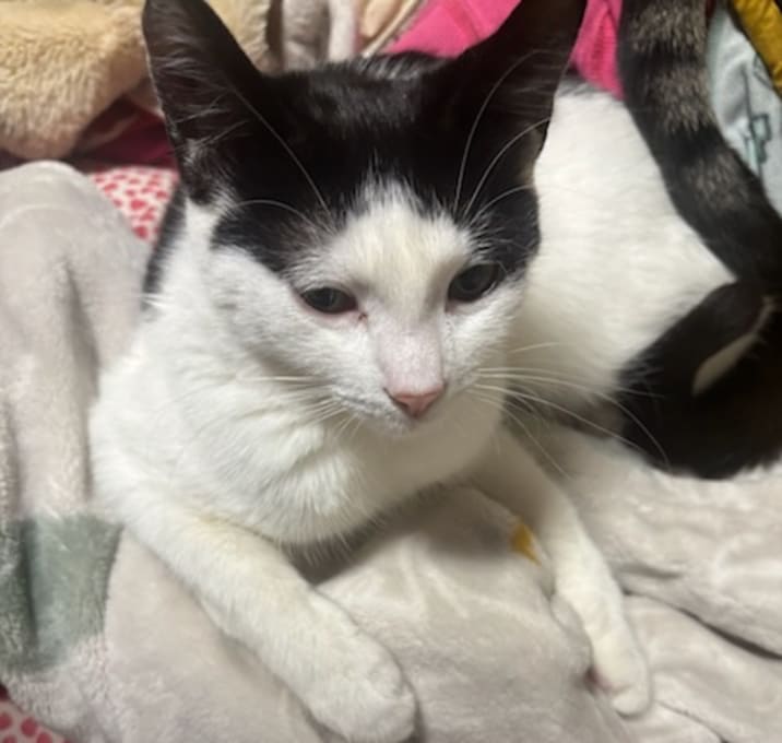 Photo of Sprout