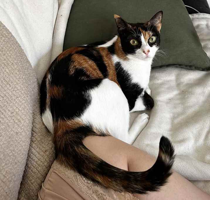 Photo of Luna