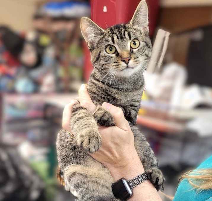 Photo of Spice