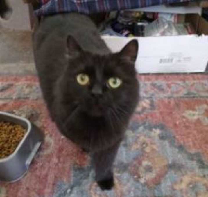 Photo of Maddy