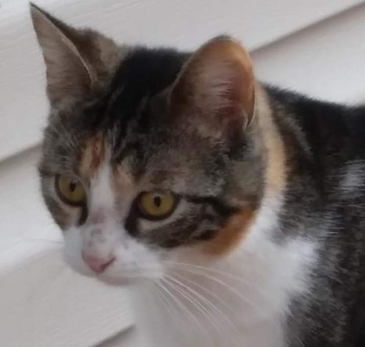 Photo of Evie