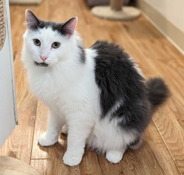 Photo of Murph