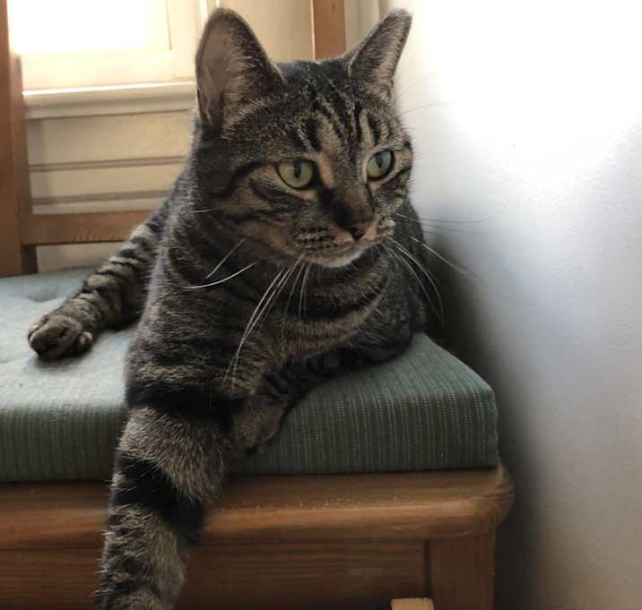 Photo of Della