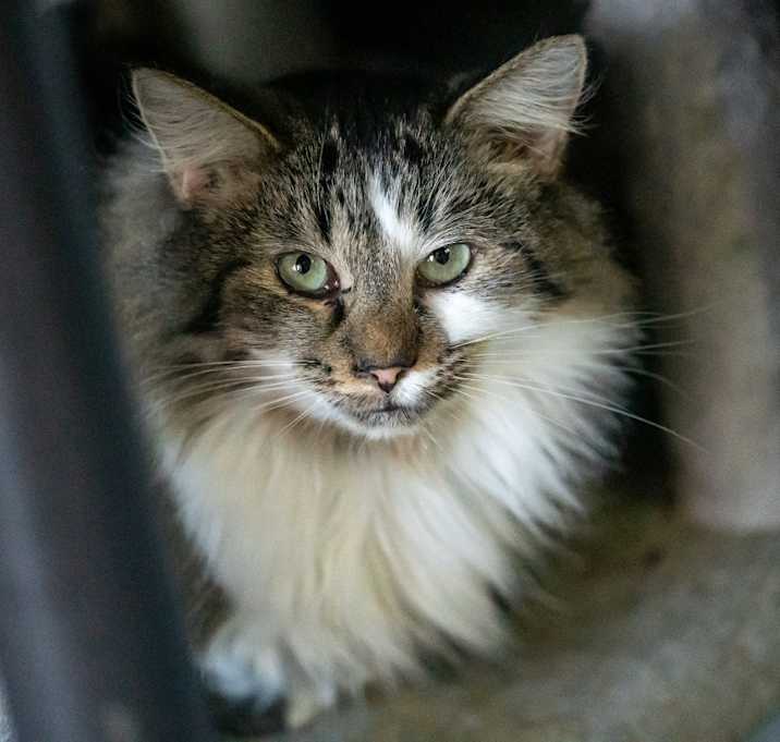 Photo of Flynn