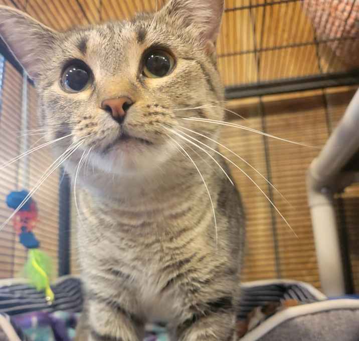 Photo of Daisy
