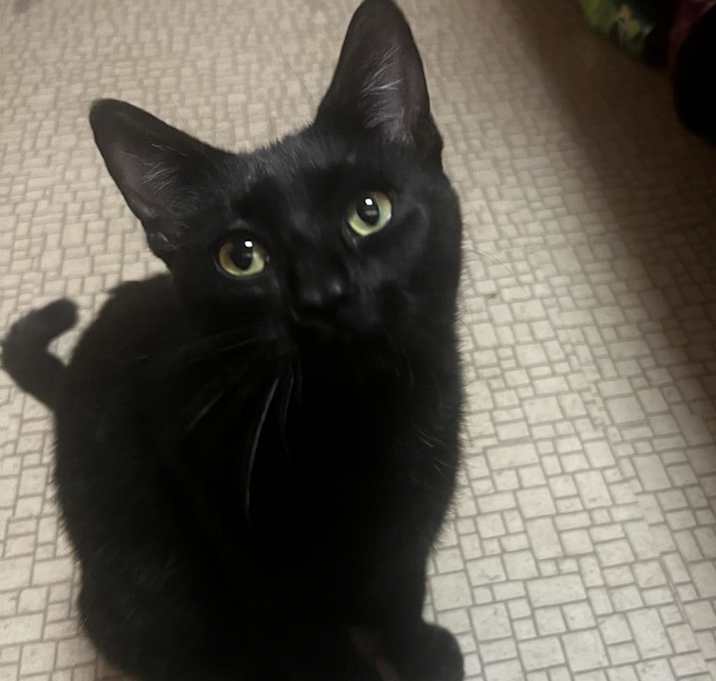 Photo of Lilla