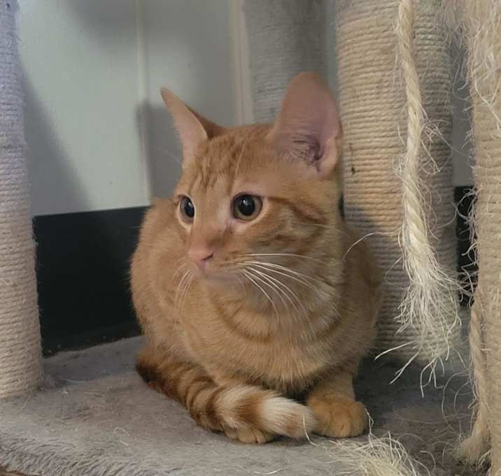 Photo of Theodore