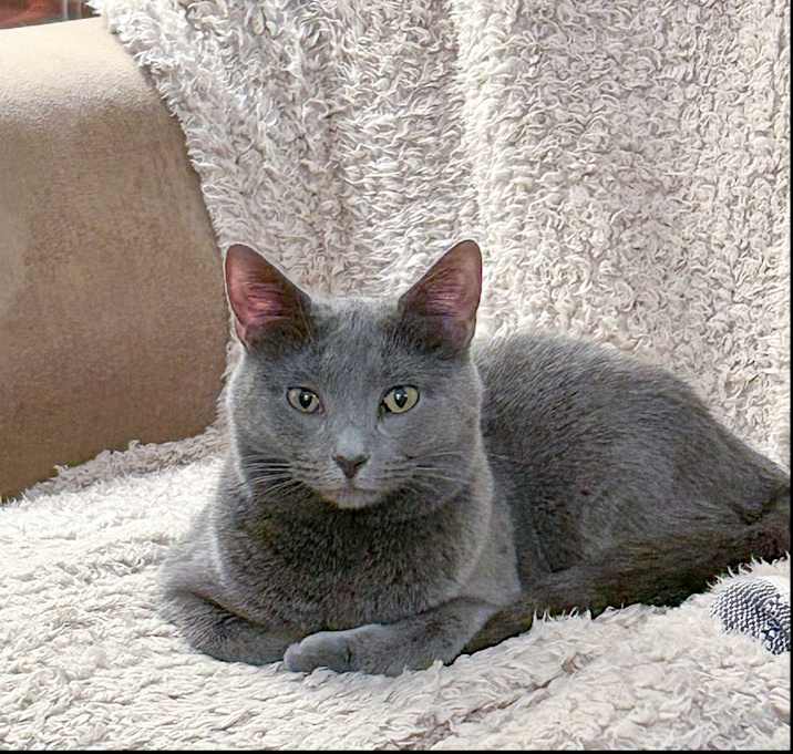 Photo of Taima