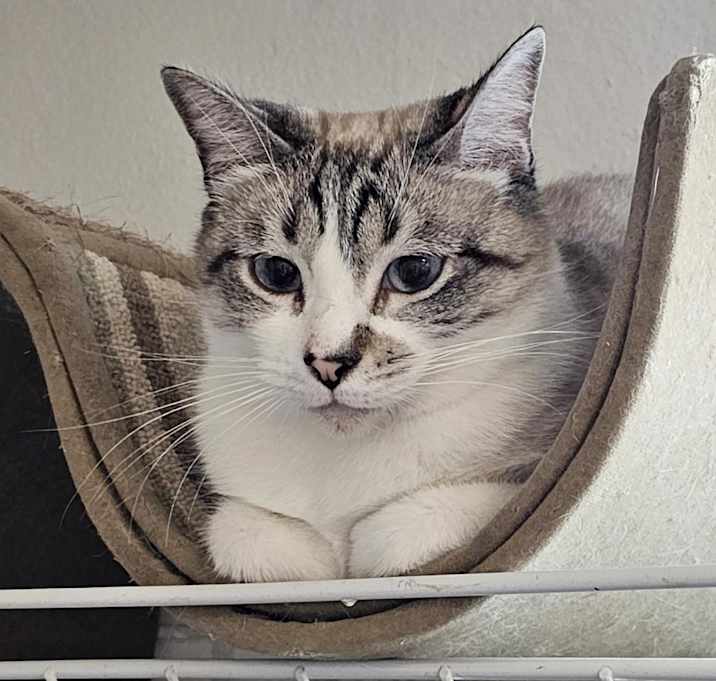 Photo of Cinnamon