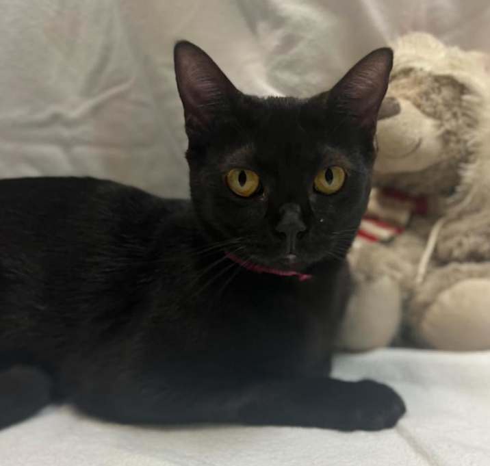 Photo of Edna