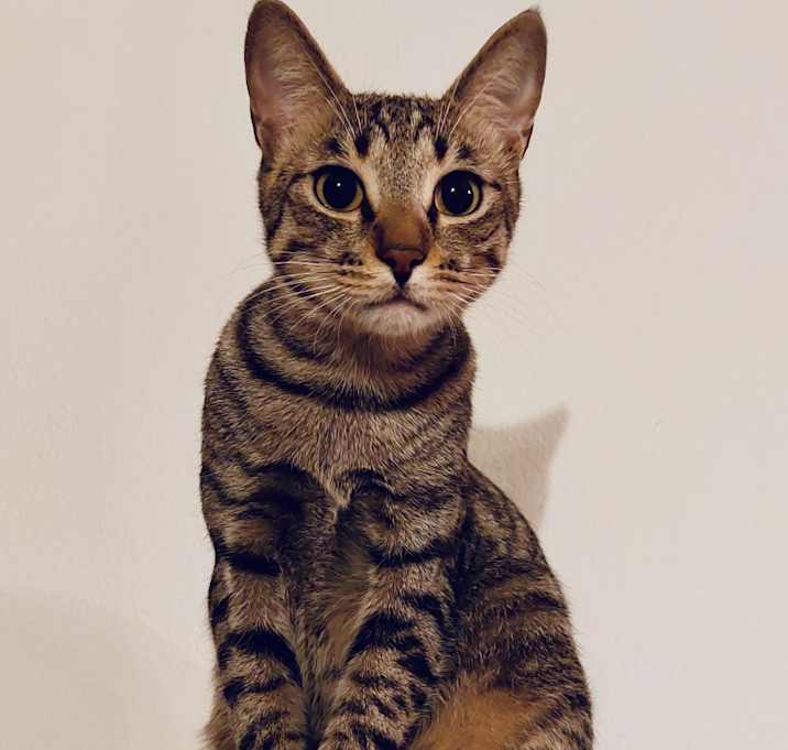 Photo of Happy