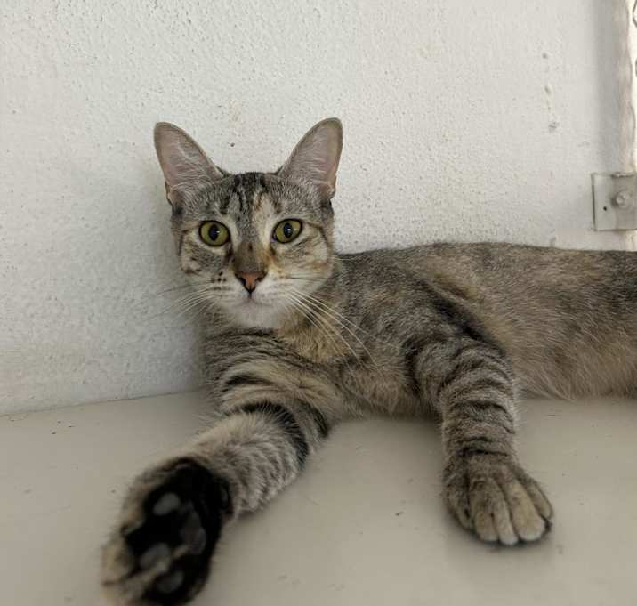 Photo of Emely