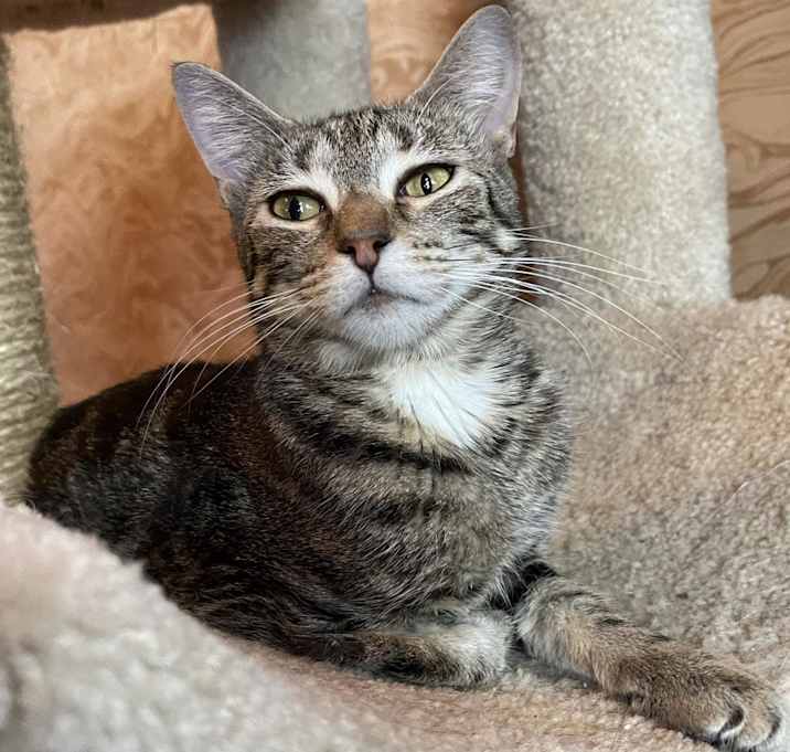 Photo of Beatrice