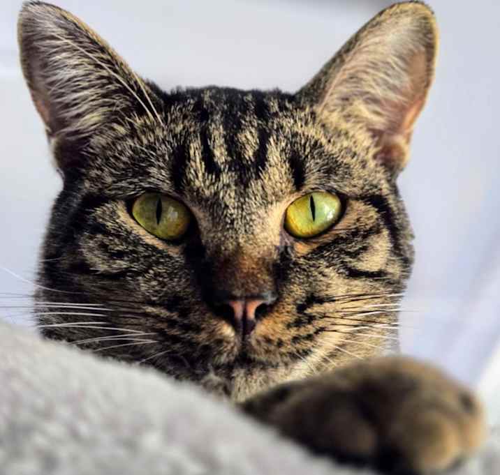 Photo of Pretty Boy