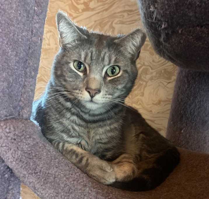 Photo of Oddball