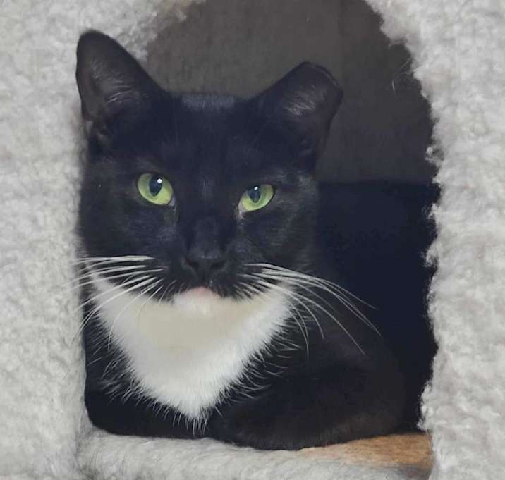 Photo of Freida