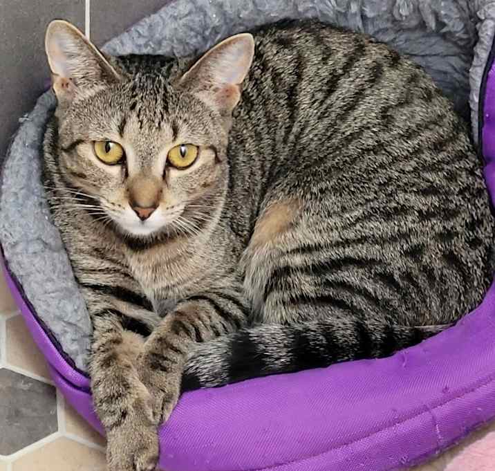 Photo of Estelle