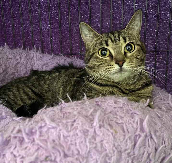 Photo of Leena