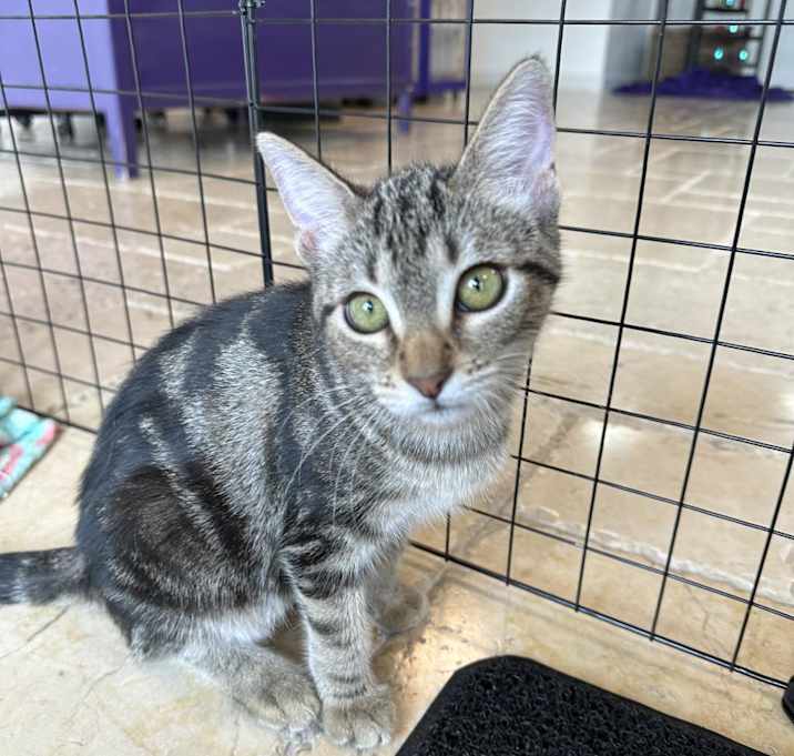 Photo of Mystique
