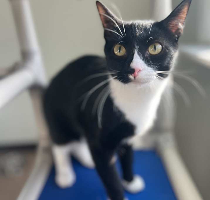 Photo of Storm
