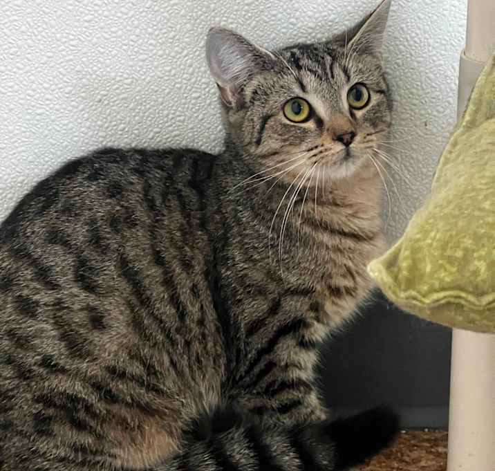 Photo of Dora