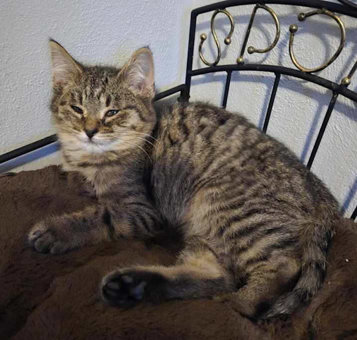 Photo of Ralphie