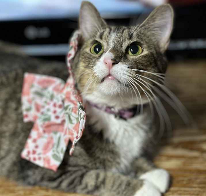 Photo of Mercy