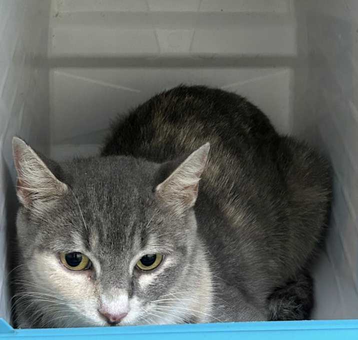 Photo of Marsha