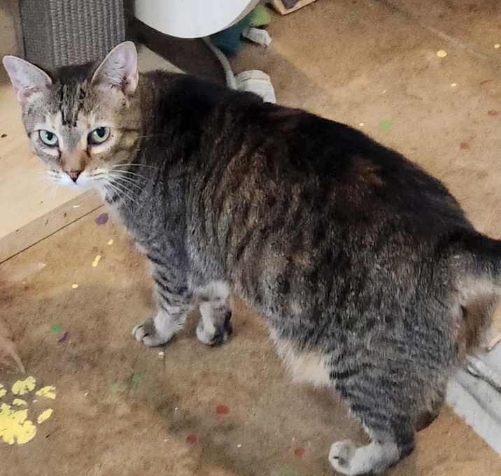 Photo of Lilly