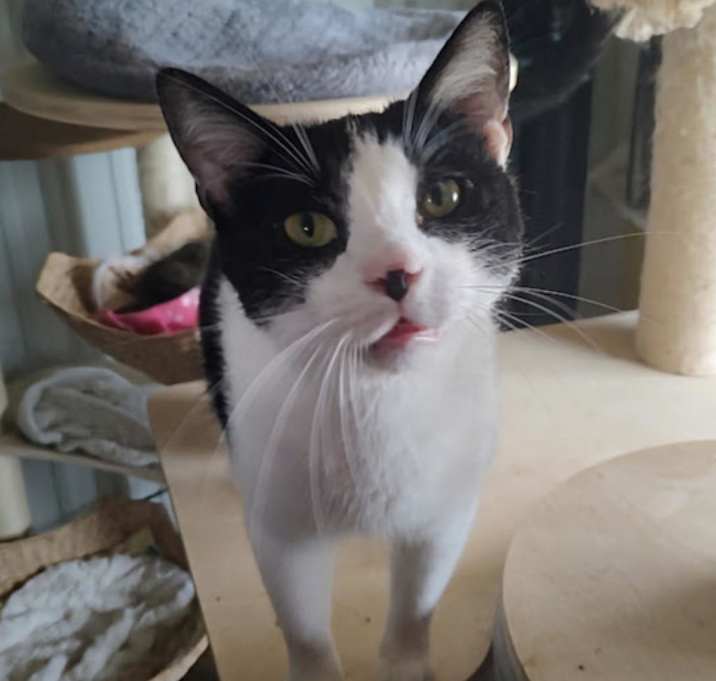 Photo of Stormy