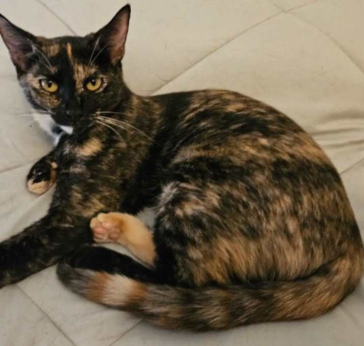 Photo of Lenore