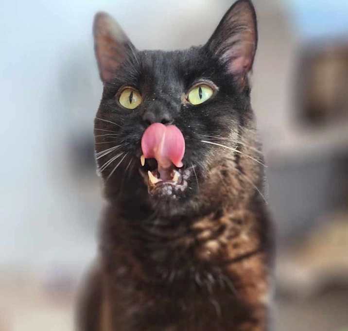 Photo of Roy (Diabetic)