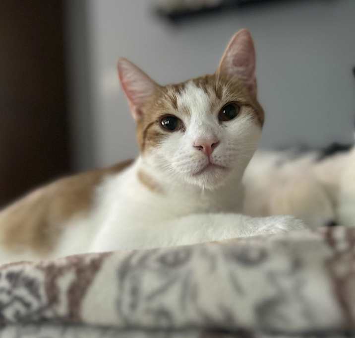 Photo of Olaf