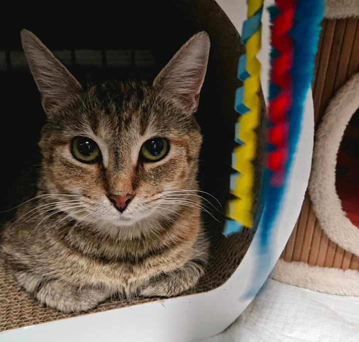 Photo of Prudence