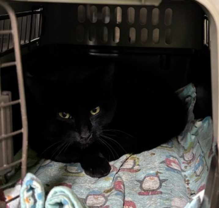 Photo of Winnie