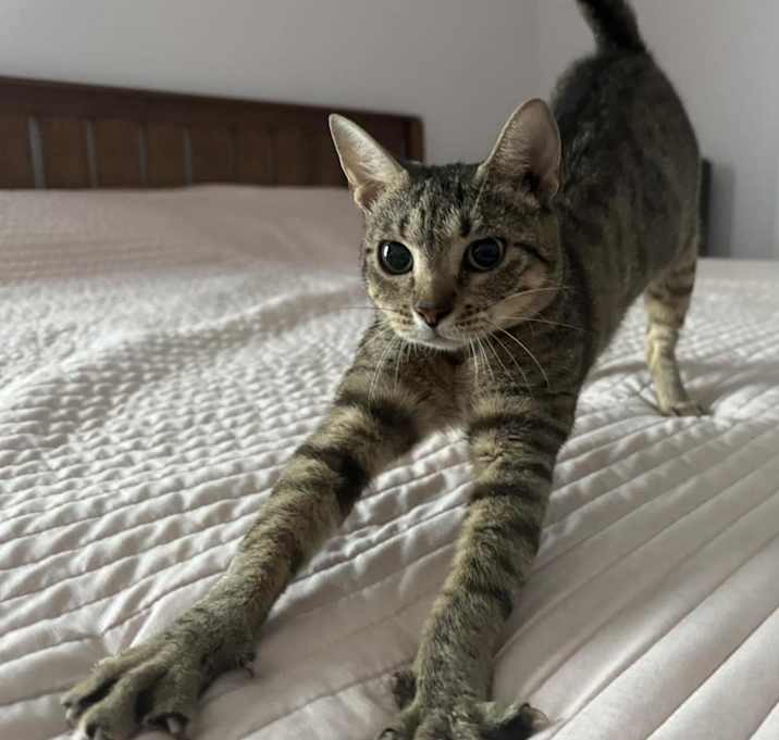 Photo of Murphy