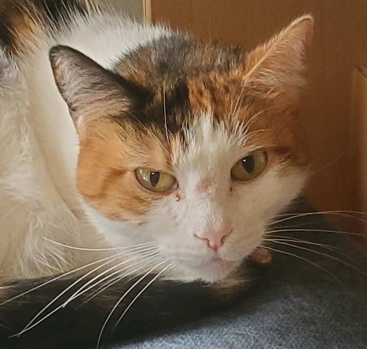 Photo of Zoe