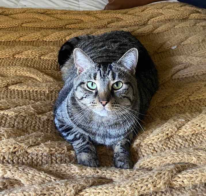 Photo of Finn