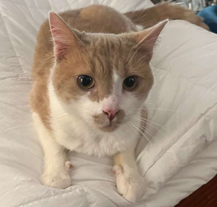 Photo of Charlie