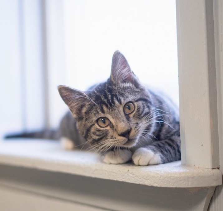 Photo of Gus