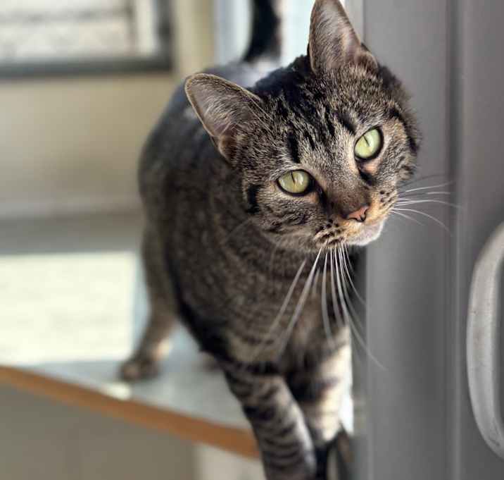 Photo of Coco