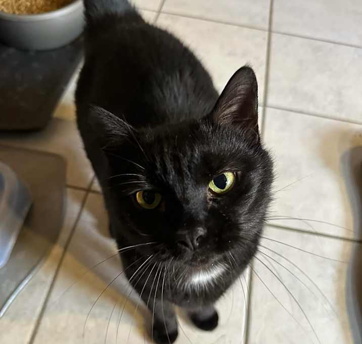 Photo of Tasha